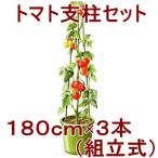 トマト支柱セット 180ｃｍ 組み立て式 支柱 トマト