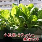 有機種子で育てる野菜の栽培セット 選べる2個セット