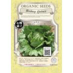  иметь машина семена фиксация вид lettuce 80 шарик вид .. вид . лампочка lettuce Iceberg 2026 год 11 месяц временные ограничения 