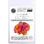 有機種子 固定種 ジニア 百日草 ヒャクニチソウ 12粒 