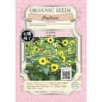  иметь машина семена фиксация вид подсолнух 60 шарик вид средний колесо желтый hi вокруг семена 2026 год 11 месяц временные ограничения 