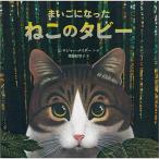 まいごになった ねこのタビー　絵本 子供 赤ちゃん 幼児 3歳 4歳 誕生日プレゼント