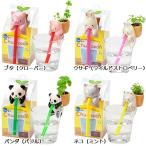 ハーブ 栽培キット　ちゅっぽん