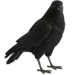 マグネット　ペットバンク キャリオン クロウ　インテリア 雑貨 置物 オブジェ 貯金箱 動物