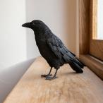 PET BANK ペットバンク CARRION CROW カラス リアルな動物の貯金箱