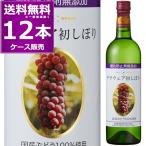 2025年新酒 2025 蒼龍葡萄酒 酸化防止剤無添加 デラウェア 初しぼり 720ml×12本(1ケース) 白 甘口 山梨県 日本ワイン