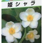 . автомобиль la: стевартия (...)