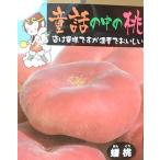 桃の苗木 蟠桃 バントウ(桃):果樹苗 チャイナピーチ