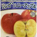  мед Apple яблоко : фруктовое дерево рассада .. рассада саженец 