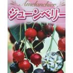 5寸鉢植えジューンベリー：果樹苗ジ...