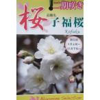  Sakura. дерево Sakura. саженец Sakura. Hanako удача Sakura :kofk The kla( Sakura ) саженец Sakura рассада Sakura 