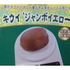 キウイ　苗　キウイの木　黄色いキ