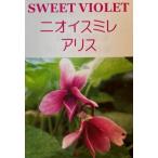  запах s Mille ( Alice ) запах s Mille рассада sumire фиолетовый 