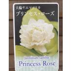  жасмин большой колесо . -слойный ..matsu licca Princess rose (3 размер pot ..)pikake рассада 