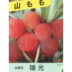 商品画像1