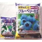 土と肥料が付いてるお得なブルーベリ...