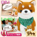 バンダナ付セット こんにちワン!しばいぬコウタ しゃべる 電池付き 犬 イヌ ぬいぐるみ 音声認識 会話 柴犬 歌う 電子ペット お話 可愛い 柴犬コウタ