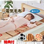 プレミアムボア SB20SL05 電気毛布 電気毛布 敷布団 電気ブランケット ボア 電気敷き毛布 毛布 電気毛布 ひざかけ 敷毛布 足元ヒーター