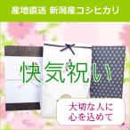 快気祝い 送料無料 無農薬 米 コシヒカリ 4kg ラッピング 熨斗無料
