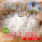 ¿·³ã»º¥³¥·¥Ò¥«¥ê ÇòÊÆ(ÀºÊÆ) 25kg