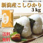 米 令和7年産 米 お米 3kg 送料無料 新潟産 コシヒカリ 精米