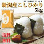 米 令和7年産 お米 5kg 白米 送料無料 新潟産 コシヒカリ 精米
