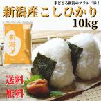 新米 令和7年産 米 お米 10kg 白米 送料無料 こしひかり 新潟産 コシヒカリ 精米