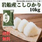 新米 令和7年産 米 お米 10kg 新潟 岩船産 コシヒカリ 精米