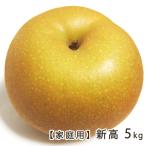 [ для бытового использования ] новый .5kg(5~9 шар )/yamayo фруктовое дерево .(Le Verge Yamayo)/ бесплатная доставка 