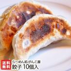 新潟がんこ屋 こだわりのジャンボ餃子 10個入り にんにく不使用/送料無料