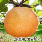 [ для бытового использования ] love .10kg(10~16 шар )/ земля рисовое поле сельское хозяйство ./ бесплатная доставка 