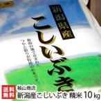 Yahoo! Yahoo!ショッピング(ヤフー ショッピング)令和6年度産米 減農薬・減化学肥料 新潟産こしいぶき 精米10kg （5kg袋×2） 袖山商店/米屋の蔵出し米/ギフトにも！/のし無料/送料無料