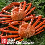 紅ズワイガニ 800g×2尾 /小針水産/送料無料