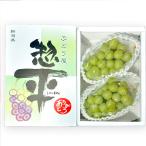  автомобиль in мускат Special превосходящий товар 2. итого 1200g передний и задний (до и после) виноград магазин . flat / Niigata производство виноград .. мускат вид нет кожа ../ подарок тоже!/. . бесплатный / бесплатная доставка 