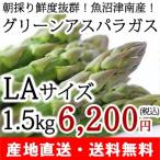  рыба болото производство утро .. зеленый спаржа LA размер 1.5kg Fujimi ya/ утро .. свежий прямая поставка от производителя длина коробка . доставка / подарок тоже!/. . бесплатный / бесплатная доставка 