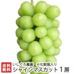  Niigata префектура производство автомобиль in мускат 1. несессер входить / отсроченный платеж не возможно / подарок тоже!/. . бесплатный / бесплатная доставка 