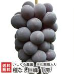  Niigata префектура производство вид нет ..1. несессер входить / виноград / отсроченный платеж не возможно / подарок тоже!/. . бесплатный / бесплатная доставка 