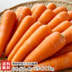  морковь M~L размер 3kg/ страстность овощи. Oota сельское хозяйство ./ бесплатная доставка 