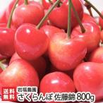  Niigata производство утро .. вишня Sato .800g скала удача сельское хозяйство ./ прямая поставка от производителя утро .. прямая поставка свежий sa Clan bo/ отсроченный платеж не возможно / бесплатная доставка 