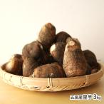 . Izumi производство таро 3kg/.... сельское хозяйство ./ бесплатная доставка 
