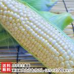  Niigata производство белый кукуруза (2L размер )20 шт. комплект /.... сельское хозяйство ./ отсроченный платеж расчет не возможно / бесплатная доставка 