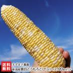 Niigata производство желтый белый кукуруза (2L размер )20 шт. комплект /.... сельское хозяйство ./ отсроченный платеж расчет не возможно / бесплатная доставка 
