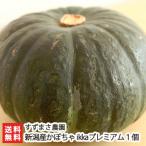  Niigata префектура производство тыква ikka premium 1 шар .... сельское хозяйство ./ отсроченный платеж не возможно / подарок тоже!/. . бесплатный / бесплатная доставка 