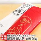 Yahoo! Yahoo!ショッピング(ヤフー ショッピング)新潟産 新之助（しんのすけ）玄米5kg あしぬまカントリー/ギフトにも！/のし無料/送料無料