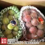  Niigata производство виноград 2 вид набор ( автомобиль in мускат * Queen колено na каждый 1.)/.... сельское хозяйство ./ бесплатная доставка 