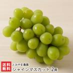  автомобиль in мускат 2./.... сельское хозяйство ./ бесплатная доставка 