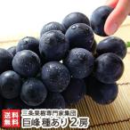 .. вид есть 2.(1.450g и больше ) три статья фруктовое дерево специализация дом сборник ./ подарок тоже!/. . бесплатный / бесплатная доставка 