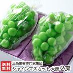  Niigata производство автомобиль in мускат большой .2.(1.500g и больше ) три статья фруктовое дерево специализация дом сборник ./ подарок тоже!/. . бесплатный / бесплатная доставка 