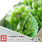  Niigata производство автомобиль in мускат средний .3.(1.400g и больше ) три статья фруктовое дерево специализация дом сборник ./ подарок тоже!/. . бесплатный / бесплатная доставка 