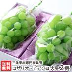  Niigata производство Rosario Bianco большой .2.(1.600g и больше ) три статья фруктовое дерево специализация дом сборник ./ подарок тоже!/. . бесплатный / бесплатная доставка 